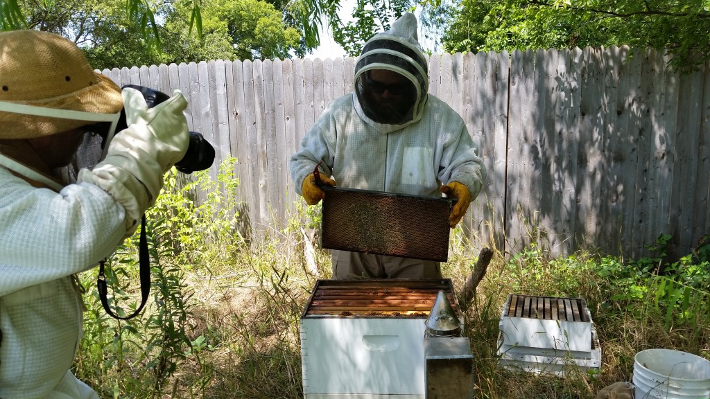 One of the many cool stories I got to cover was on local beekeepers.